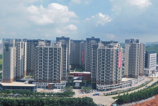 深圳市政 建筑工程